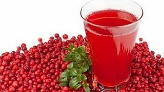 настойка на клюкве настойка на клюкве