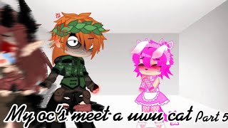My Ocs Met An Uwu Cat P.5 Remake? Bad