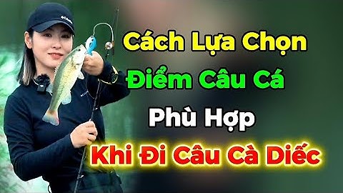 🎣 Cách Lựa Chọn Điểm Câu Cá Hiệu Quả Khi Đi Câu Cá Diếc