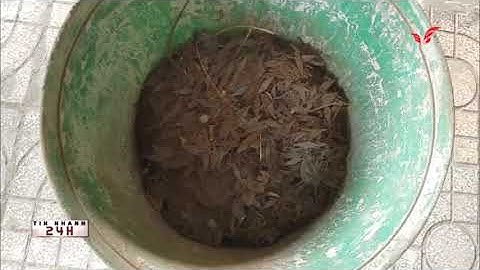 TPHCM, Đinh tặc lộng hành trên quốc lộ 1 gây bức xúc cho người dân