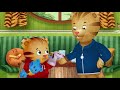 Dad Tiger Gets Mad At Daniel 