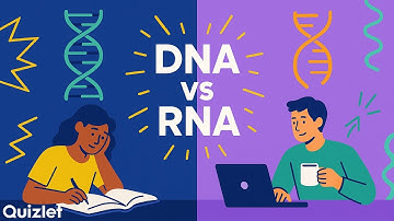 DNA vs RNA Explained | Structure, Function & 3 Types of RNA