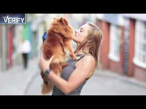 ვიდეო: რატომ კურნავს ძაღლის ნერწყვი ჭრილობებს?