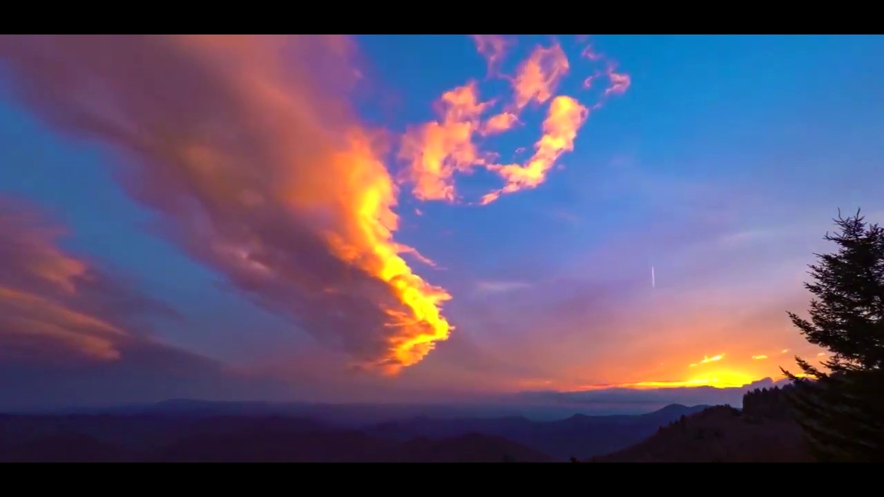 HOW I GO TO THE WOODS ― Mary Oliver YouTube