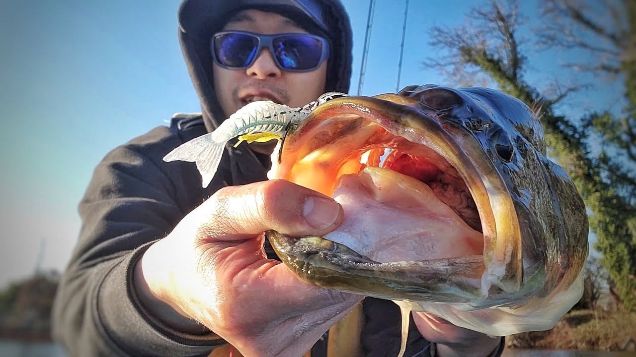 Fishing Berkley Slobberknocker with PowerBait PowerStinger for Cold water Bass