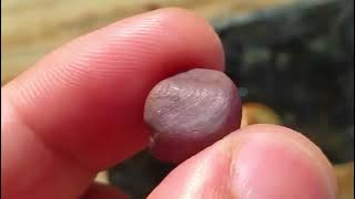 como identificar rubis e safiras pedras preciosas no rio