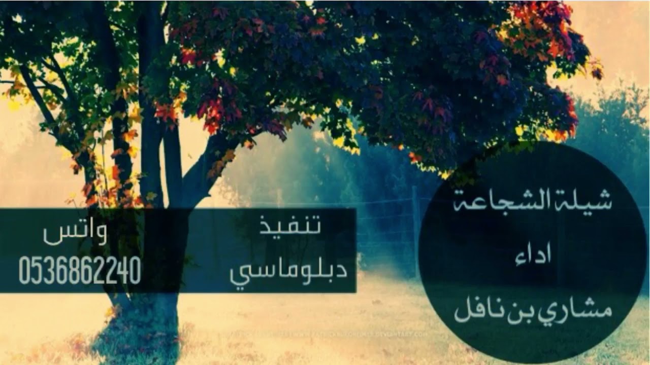 شيلة هذي الشجاعة كان تبغى الشجيعيني | اداء مشاري بن نافل | بطيء