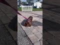 ✨selective walking✨ iykyk