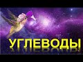 50. Углеводы (часть 1)