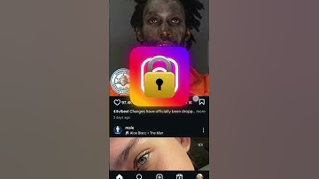 Instagram Algorithm explained in 30 seconds