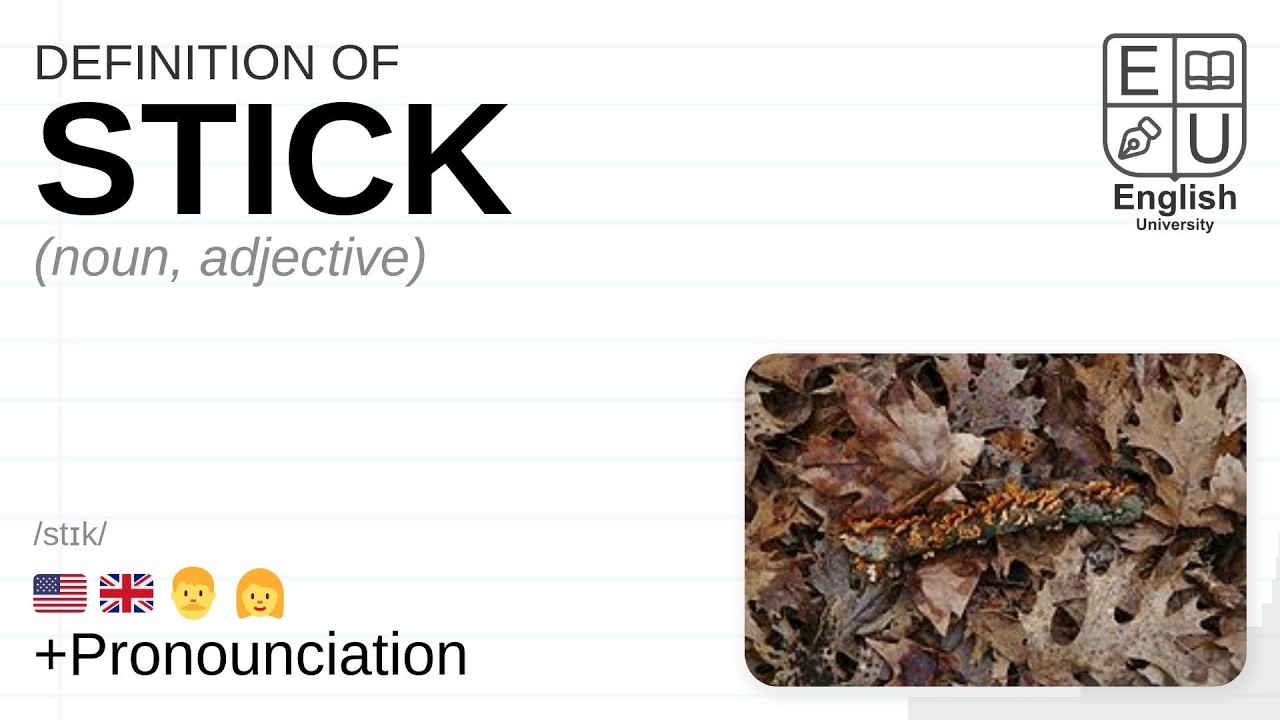 STICK  definition in the Cambridge English Dictionary