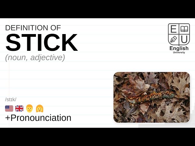 STICK  definition in the Cambridge English Dictionary