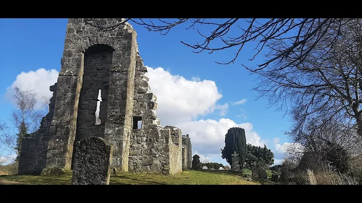 St. Finian's, Esker - Progress report end of 2021 ...