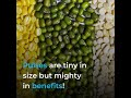 Pulses can increase biodiversity