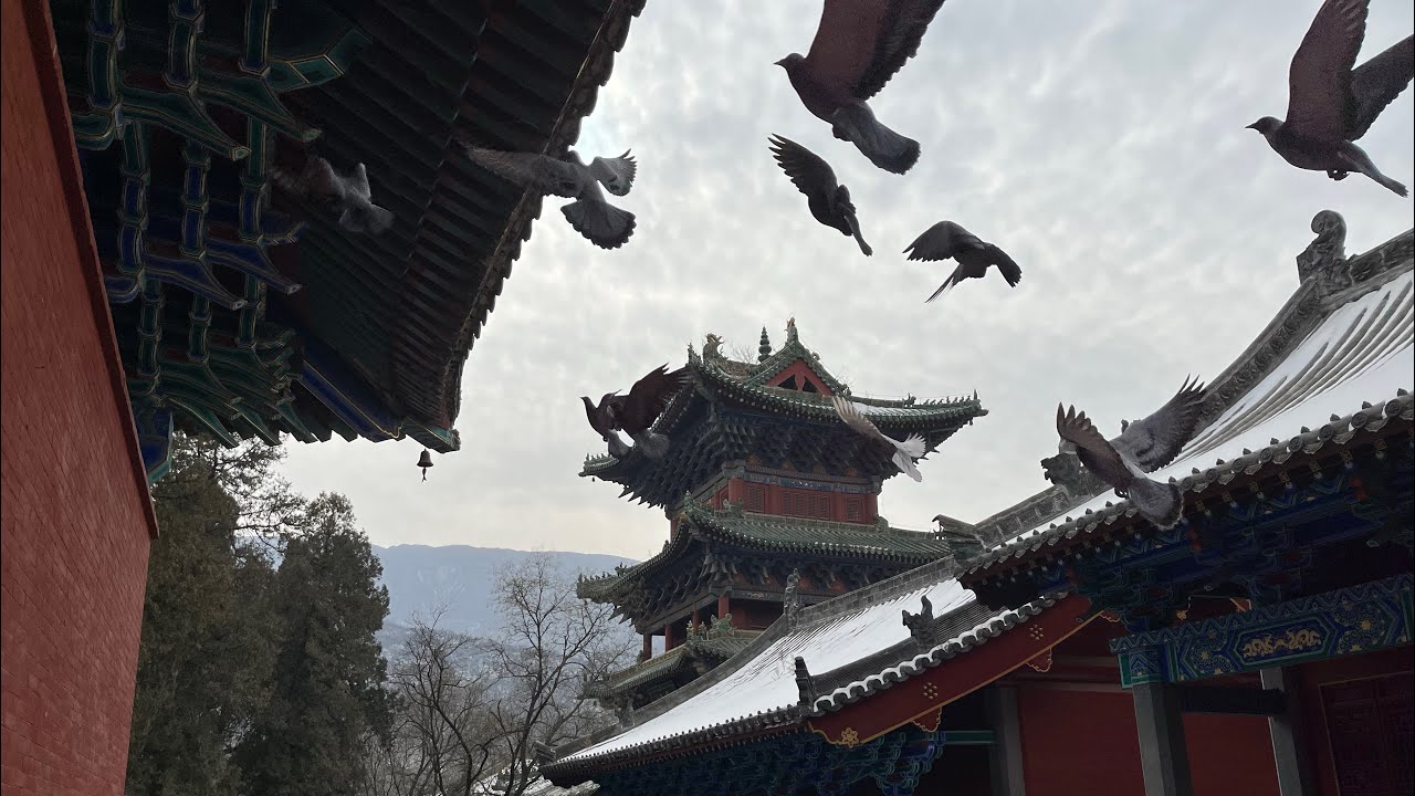 Chinese New Year road trip: Day 8, Dengfeng, Henan Province (4k登封少林寺)