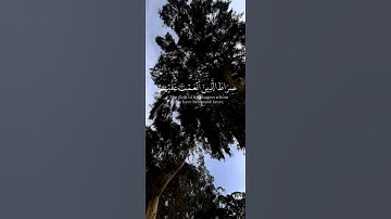 سورة الفاتحه |surha al fatiha
