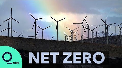 Energy Efficiency Matters | Net Zero