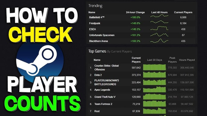 How to see the Player Count on ANY GAME (Steam 2022) 