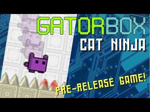 cat ninja google game