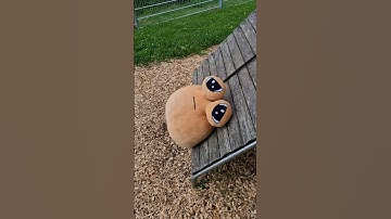 Weee 😂😂 #pou #plushie #plushtoy