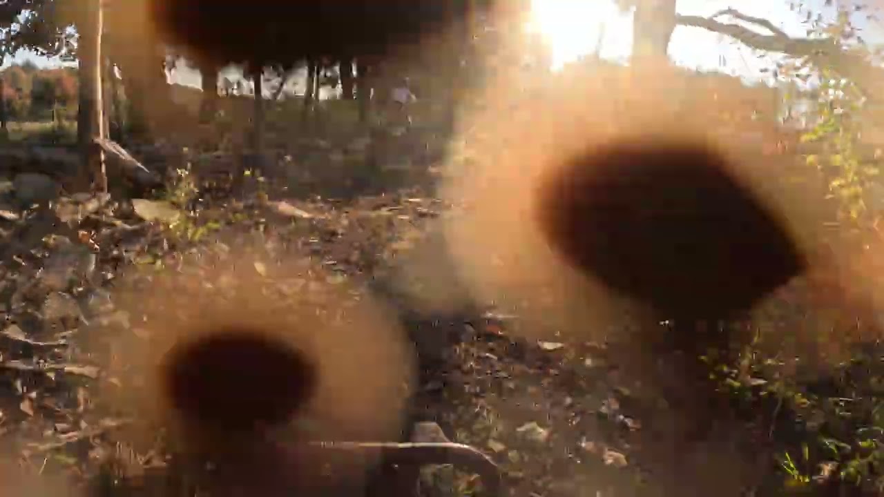 2025 NYOA Rolling Oaks PW Quad