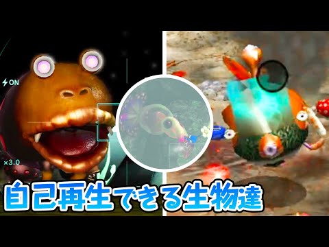 ピクミン　原生生物 原生生物の絶命する瞬間が生々しすぎた・・・【ピクミン4