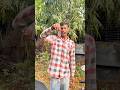 ZOMBIE CHOCOLATE 🤤😱#zombie #zombies #entertainment #entertainmentshorts #shortsvideo #funny #viral