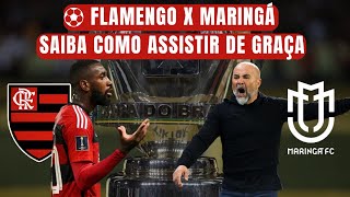 Maringá x Flamengo ao vivo: onde assistir, escalação provável e horário