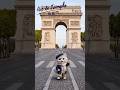 Arc de Triomphe|France(凱旋門|フランス)