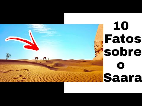 Vídeo: Poucos Fatos Sobre O Deserto Do Saara