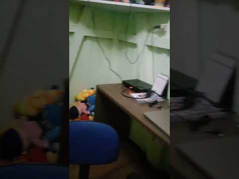 compilação de oferecimento Discovery kids e SBT
