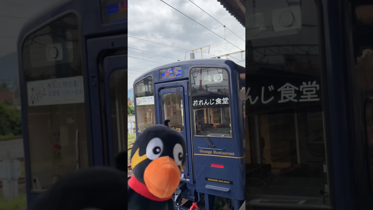 きゅーちゃんと特別運行の『おれんじ食堂』に乗ってきたよ！（特別運行2026年7月〜9月）