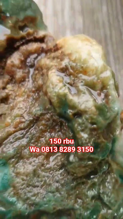 hiji botol lumut klawing