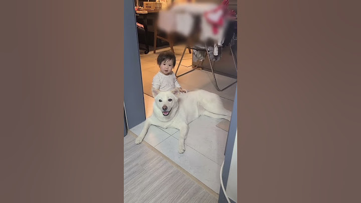 둘도 없는 친구 사이가 된 아기와 진돗개