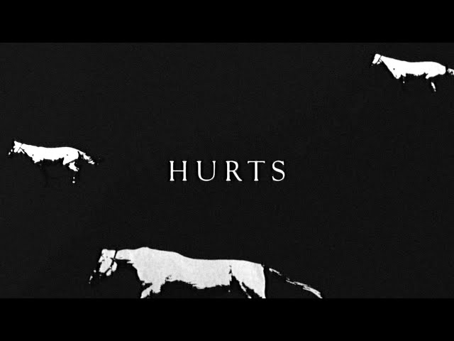 HURTS - WHITE HORSES