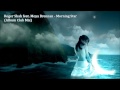 Roger Shah feat. Moya Brennan - Morning Star (Album Club Mix)
