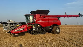 Lets See What These Illinois Crops Are Like!!