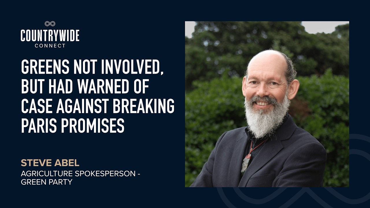 Steve Abel - Greens not involved, but had warned of case against breaking Paris promises