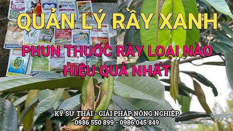 Tập 65: Quản Lý Rầy Xanh Gây Hại Đọt Sầu Riêng Phun Thuốc Gì? Bao Nhiêu Tiền - Bao Lâu Phun Một Lần?