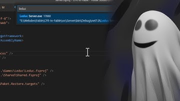 How To Use A Debugger In Multi-Process (SAFE Stack) Applications (For Beginners!)
