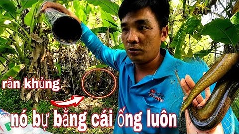 Tới thời rồi,,trúng lươn,còn gặp rắn khủng - vũ heo