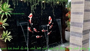 Tiểu cảnh thác nước cá koi - Thi công tiểu cảnh thác nước nhà đẹp