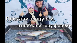 Поехали за щукой, а поймали гору форели!