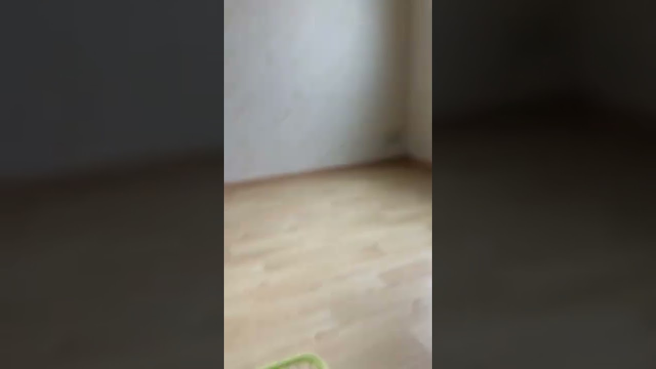 ほら貝のカンタンな音の出し方 法螺貝 ホラ貝 ホラガイ ほらがい