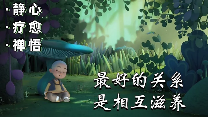 心灵禅语：一个人的格局，藏在这些细节里｜静心/疗愈/禅悟 - 天天要闻