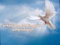 Tanging kay jesus mo lang ito matatagpuan by johnrey omana