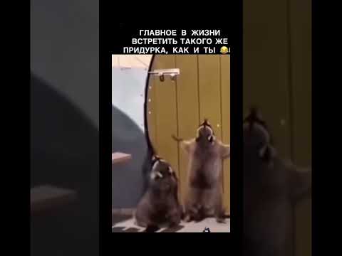 🤣Когда встретил такого же друга как ты 🤣 #ржака #смех #прикол #юмор #рекомендации