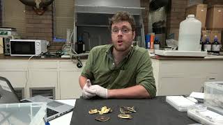 Staffordshire Hoard: Treasure of Mercia gallery opening on 9 July - announcement
