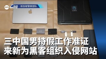 三中国男持假工作准证来新 为黑客组织入侵网站