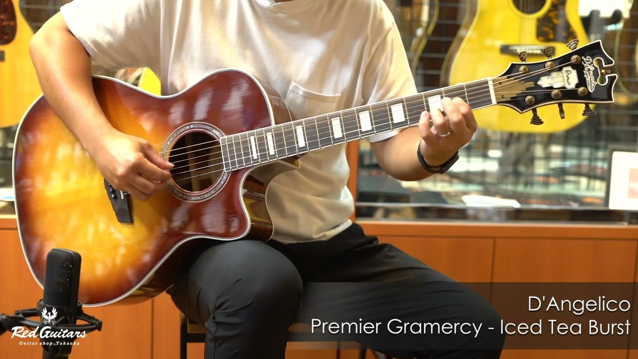 D'Angelico Premier フルアコースティックギター D'Angelico Premier EXL-1｜リーズナブルな価格が魅力の
